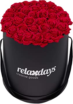 Relaxdays Flower Box 